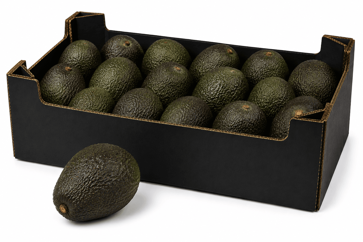Avocado