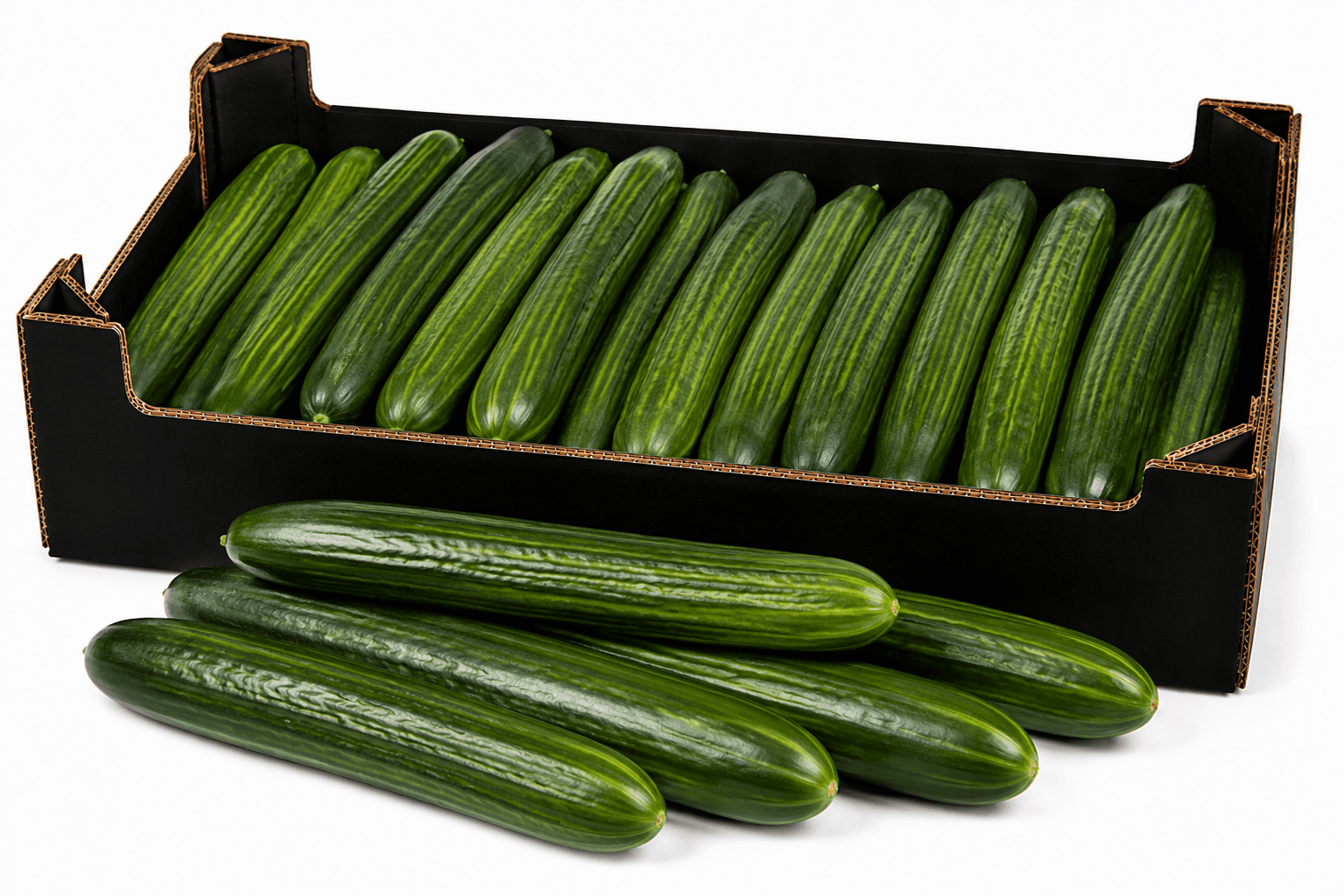 Long Cucumber