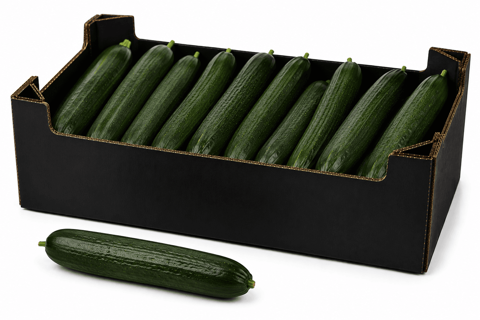 Mini Cucumber