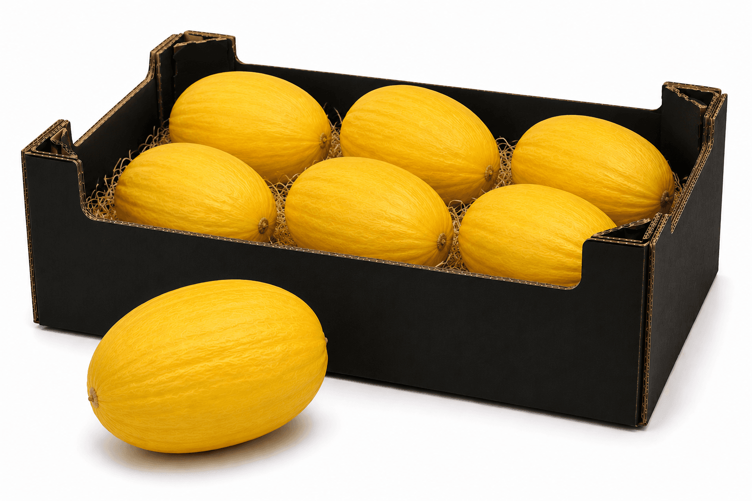 Melon jaune / Canario