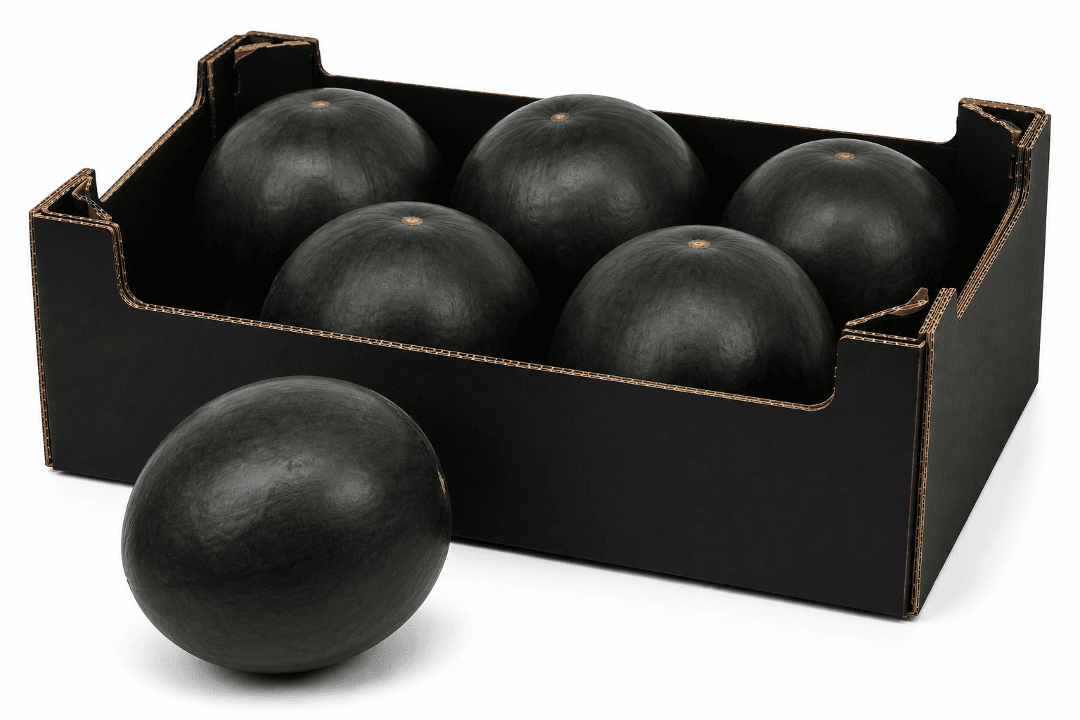 Pastèque noire